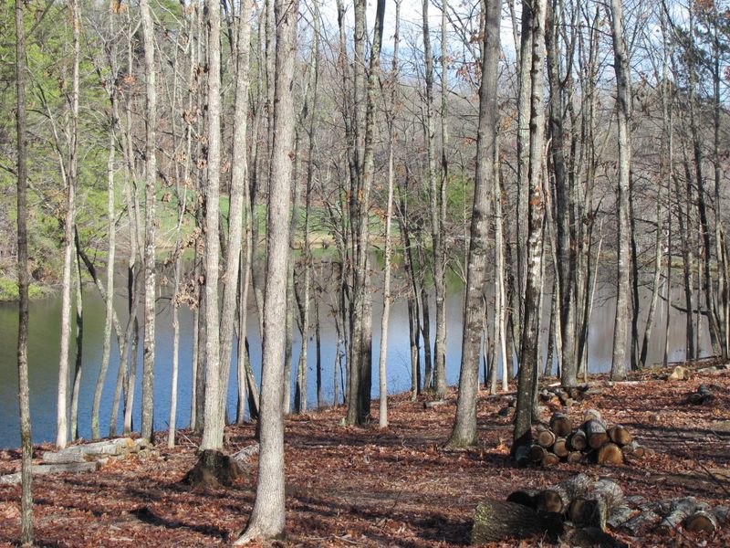 331 Beachwood Dr, Fairfield Glade, TN 38558