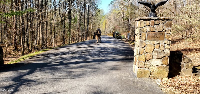 331 Chestnut Ridge Rd, Walland, TN 37886