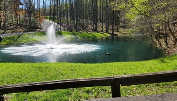 331 Chestnut Ridge Rd, Walland, TN 37886