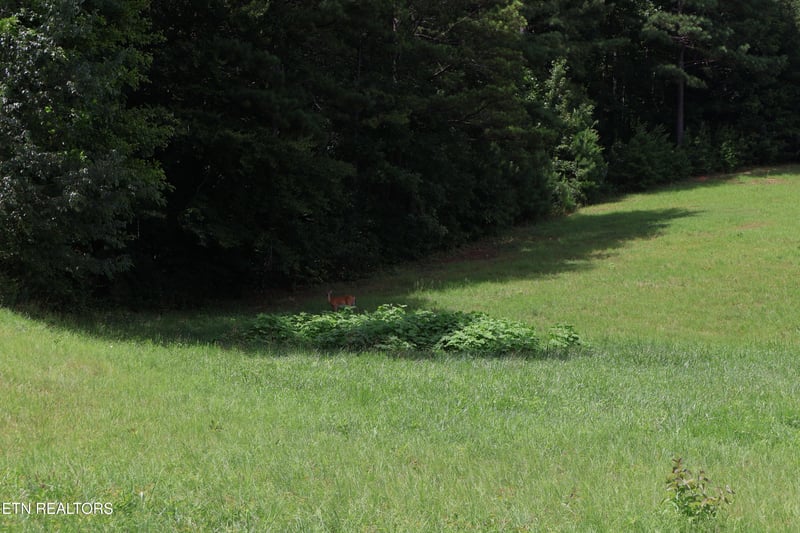 331 Enclave Way, Kingston, TN 37763