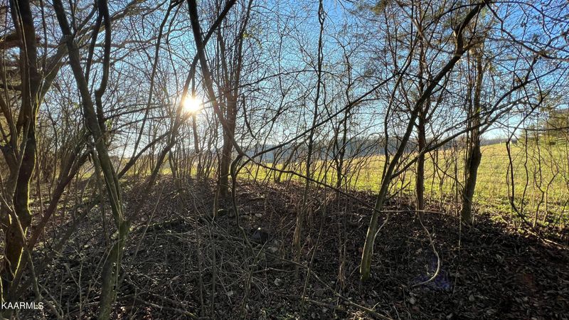 331 Marble Bluff Dr, Kingston, TN 37763