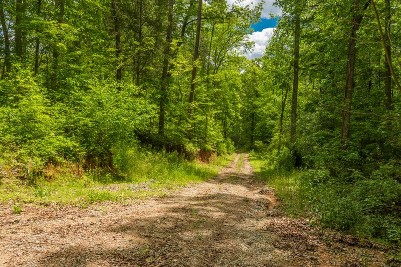 3311 Guinn Rd, Knoxville, TN 37931