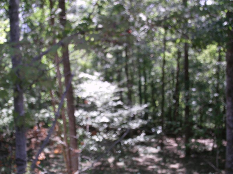 3316 Shagbark Dr, Powell, TN 37849