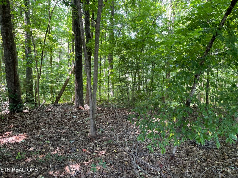 3320 Gumstand Dr, Powell, TN 37849