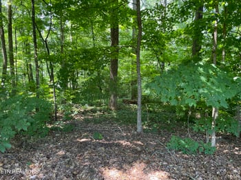 3320 Gumstand Dr, Powell, TN 37849