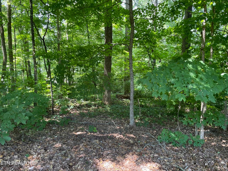 3320 Gumstand Dr, Powell, TN 37849