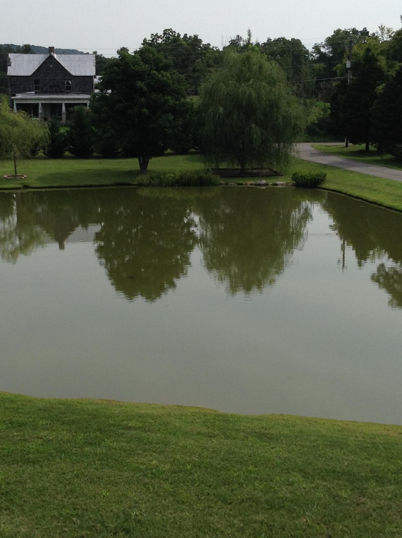 3321 Roberts Rd, Mascot, TN 37806
