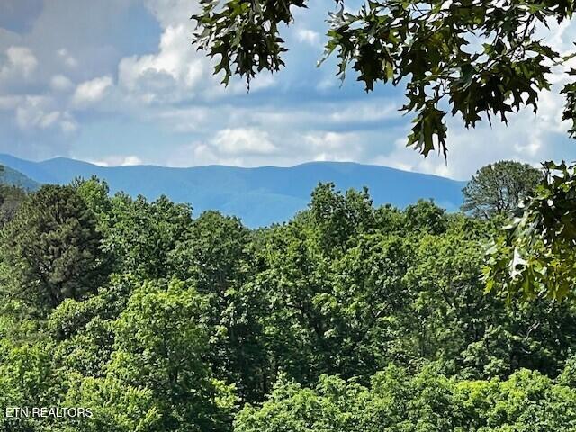 3328 Sugar Maple Loop Rd, Sevierville, TN 37862