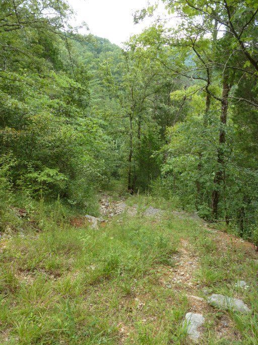 333 Black Mash Hl, Townsend, TN 37882