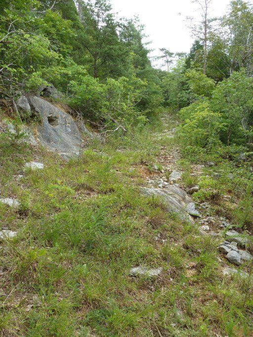 333 Black Mash Hl, Townsend, TN 37882
