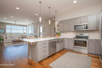333 W Depot Ave #509, Knoxville, TN 37917