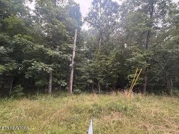 3333 Warpath Dr, Crossville, TN 38572