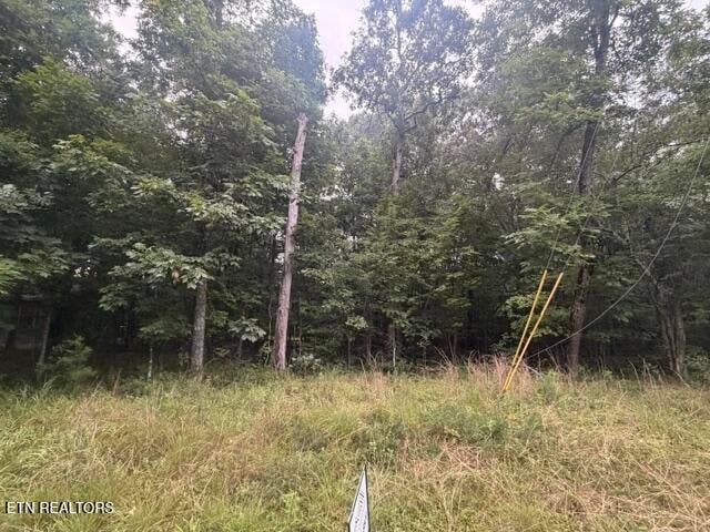3333 Warpath Dr, Crossville, TN 38572