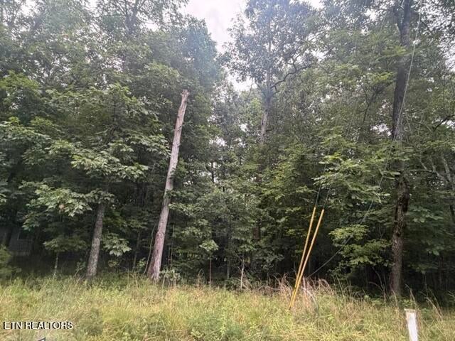 3333 Warpath Dr, Crossville, TN 38572