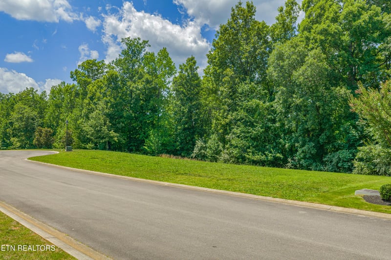 3336 Preserve Pointe, Louisville, TN 37777