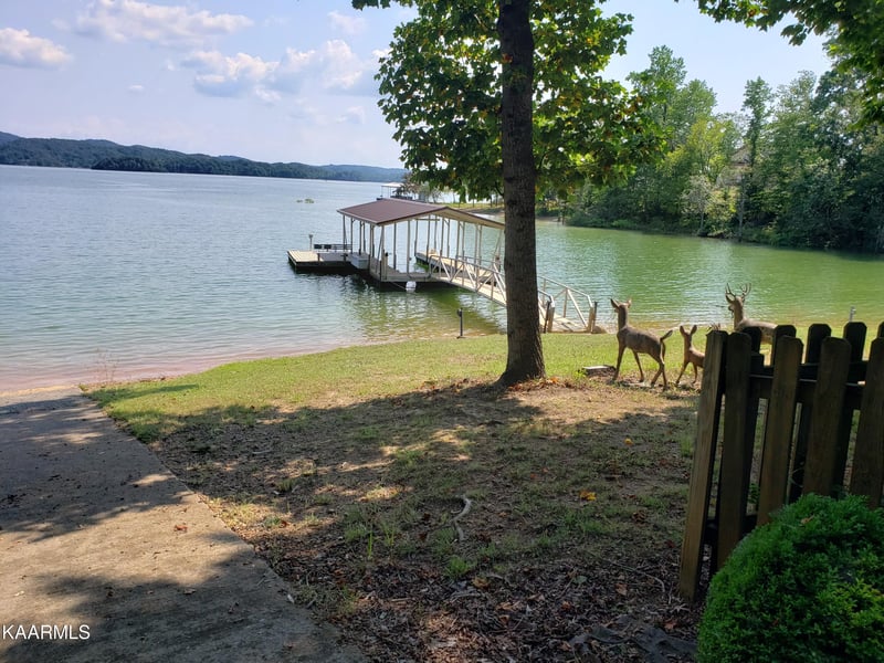 334 Catawba Rd, Bean Station, TN 37708