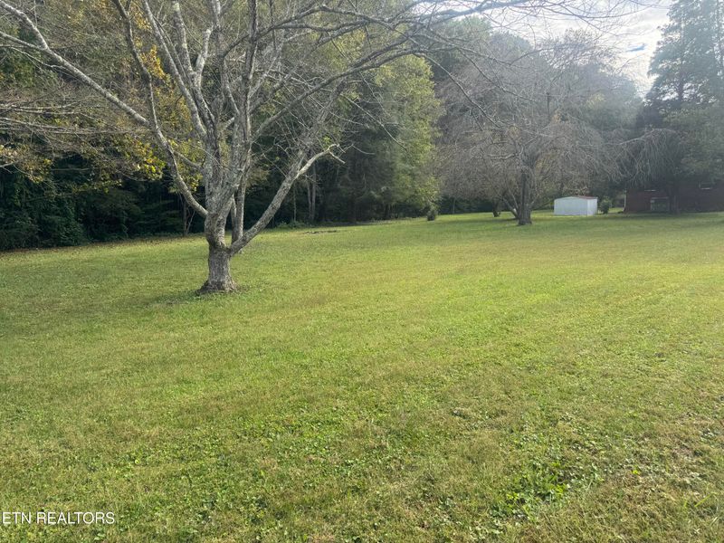 3341 W Wolf Valley Rd, Clinton, TN 37716