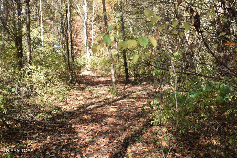 3347 Wilson Rd, Lenoir City, TN 37772
