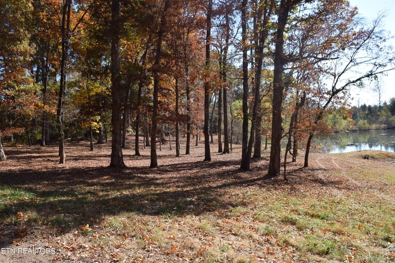 3347 Wilson Rd, Lenoir City, TN 37772