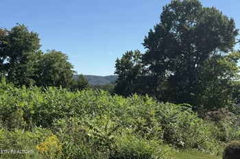 3356 Whispering Oaks Dr, Knoxville, TN 37938