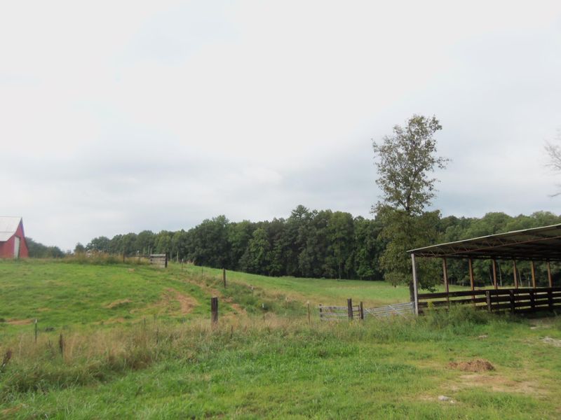 336 Ditney Trl, Pioneer, TN 37847