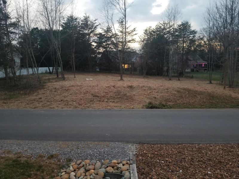 336 Golanvyi Trail Tr, Vonore, TN 37885