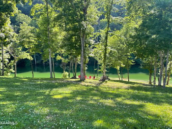 336 Wagon Ln, Speedwell, TN 37870