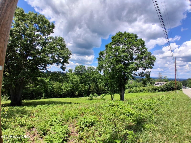 336 Woodstock Dr, Rutledge, TN 37861