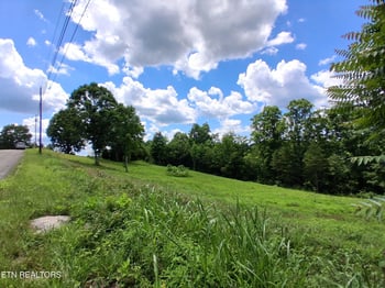 336 Woodstock Dr, Rutledge, TN 37861