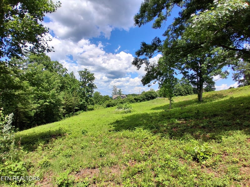 336 Woodstock Dr, Rutledge, TN 37861
