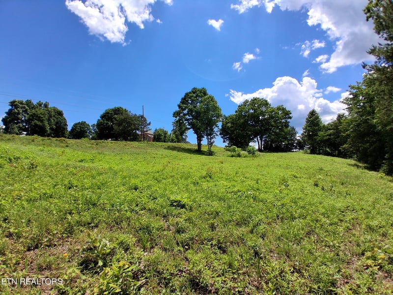 336 Woodstock Dr, Rutledge, TN 37861