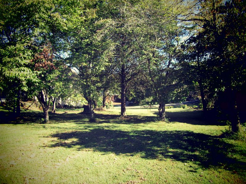 337 Gadusi Ln, Loudon, TN 37774