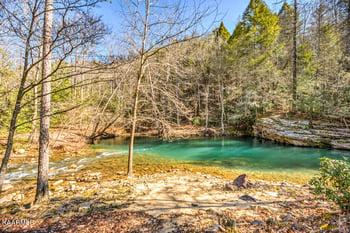 3373 Dogwood Rd, Rockwood, TN 37854