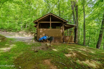 3376 Bear Mountain Ln, Sevierville, TN 37876