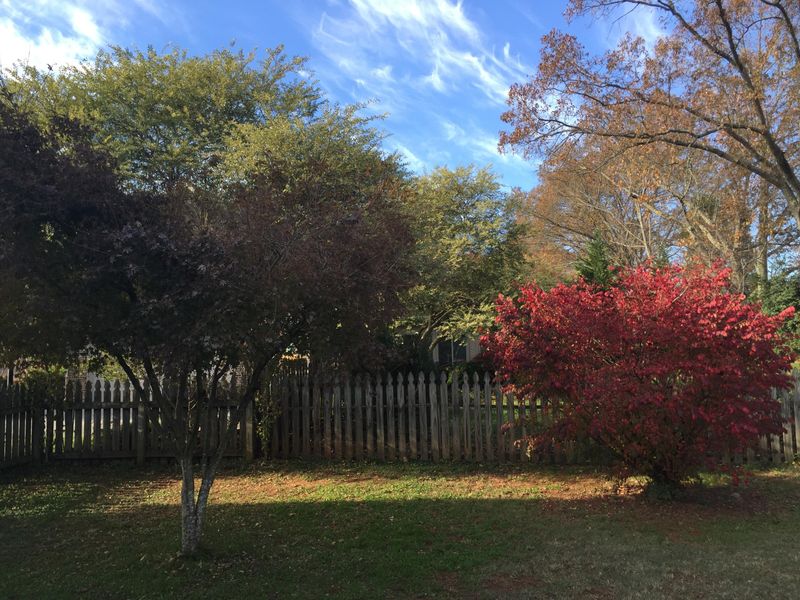 338 Mapletree Dr, Knoxville, TN 37934