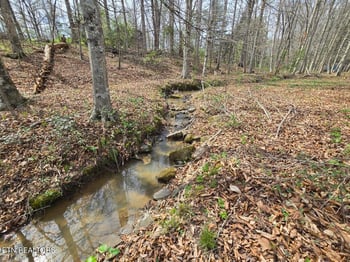 339 Edgewood Blvd, Oneida, TN 37841