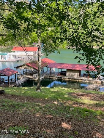 339 Flat Hollow Marina Rd, Speedwell, TN 37870