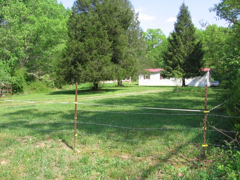 339 Meister Hills Rd, Deer Lodge, TN 37726