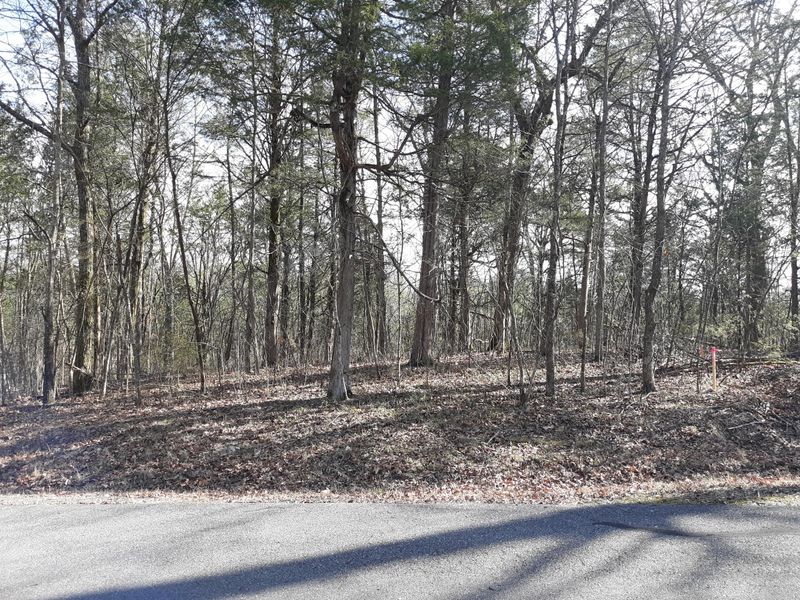 339 Nuhya Ln, Loudon, TN 37774