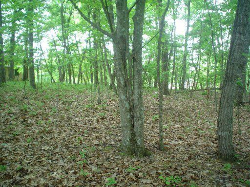 34 Marquette Ter, Fairfield Glade, TN 38558