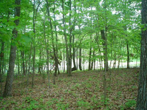 34 Marquette Ter, Fairfield Glade, TN 38558