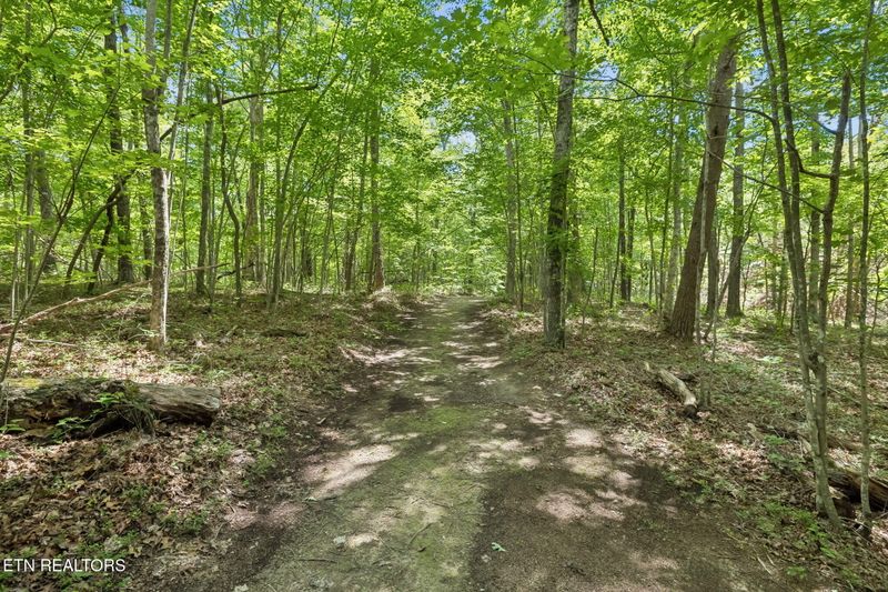 340 Doe Ridge Rd, Oneida, TN 37841