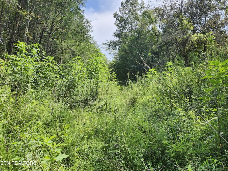 340 Swadis Dr, Sevierville, TN 37876