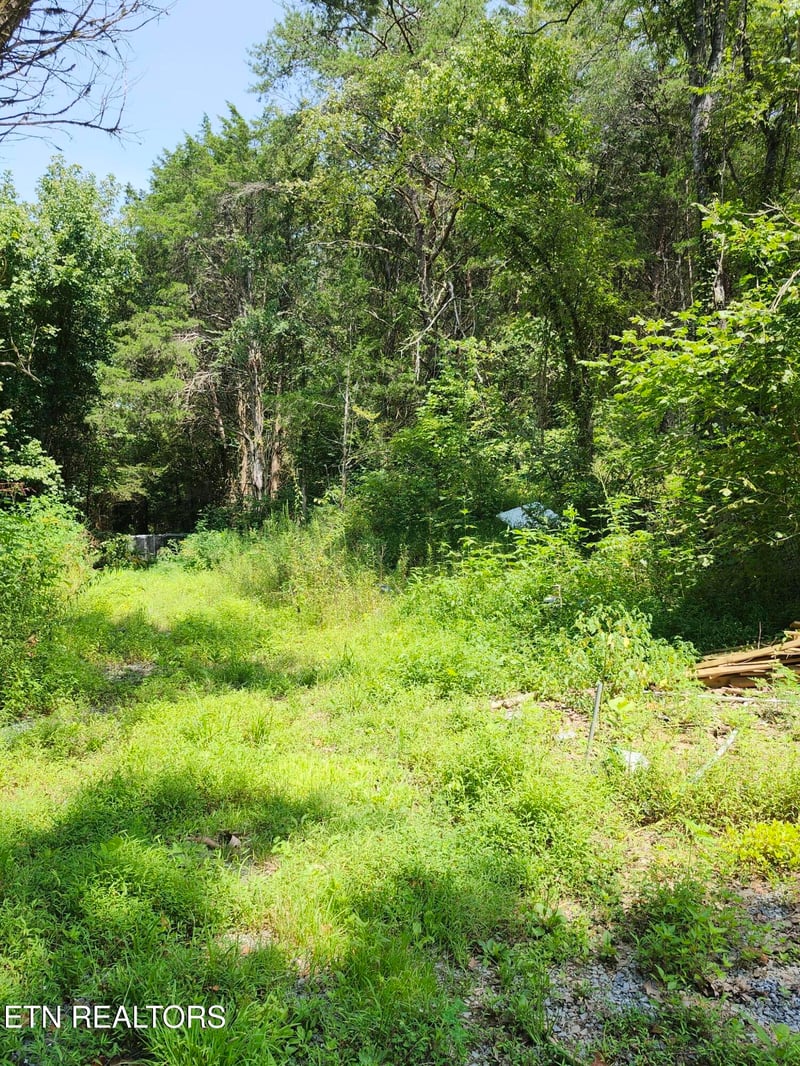 340 Swadis Dr, Sevierville, TN 37876