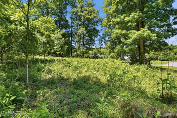 3402 Lanyard Ln, Louisville, TN 37777