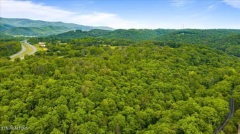 341 Lovely Bluff Rd, Rocky Top, TN 37769