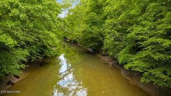 341 Lovely Bluff Rd, Rocky Top, TN 37769