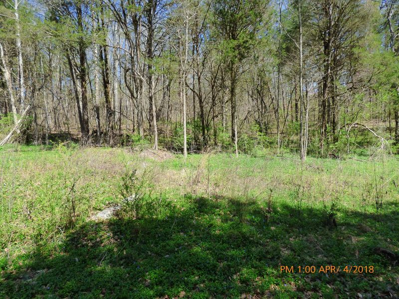 341 Marney Cove Rd, Kingston, TN 37763