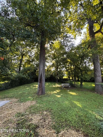 3416 Oak Grove St, Knoxville, TN 37920