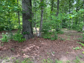 3422 Airport Rd, Rockwood, TN 37854